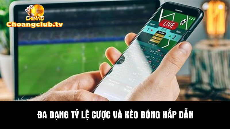 Tại Choáng Club có đa dạng tỷ lệ cược hấp dẫn